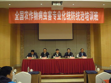 技術推廣服務中心 引領創新成果轉化的專業平臺